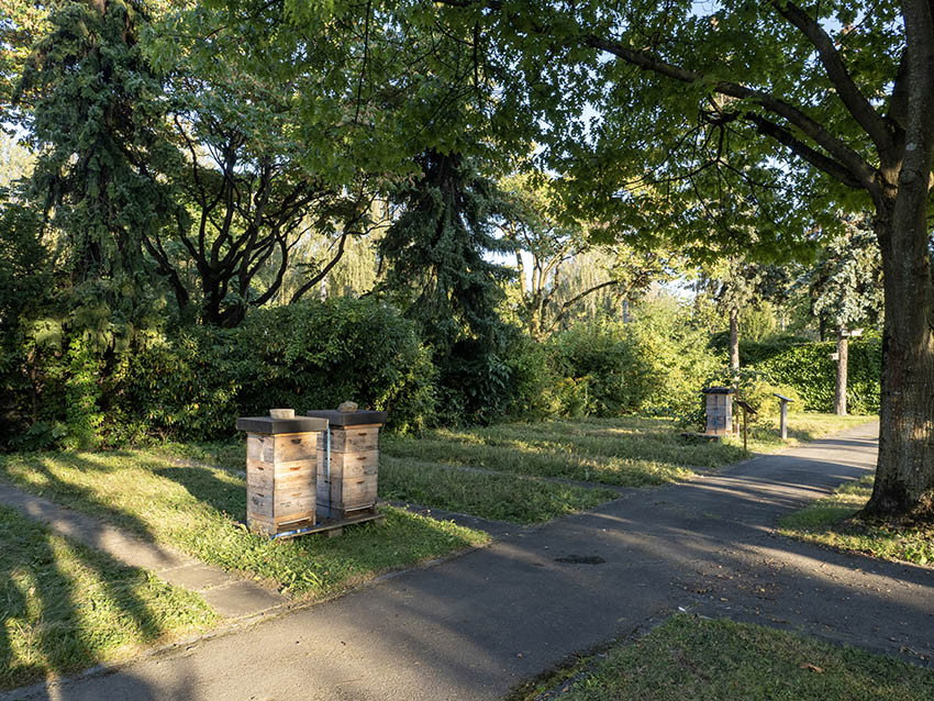 Bienenstöcke am Sankt Barbara Friedhof - ein Beispiel für umweltrelevante Aktivitäten