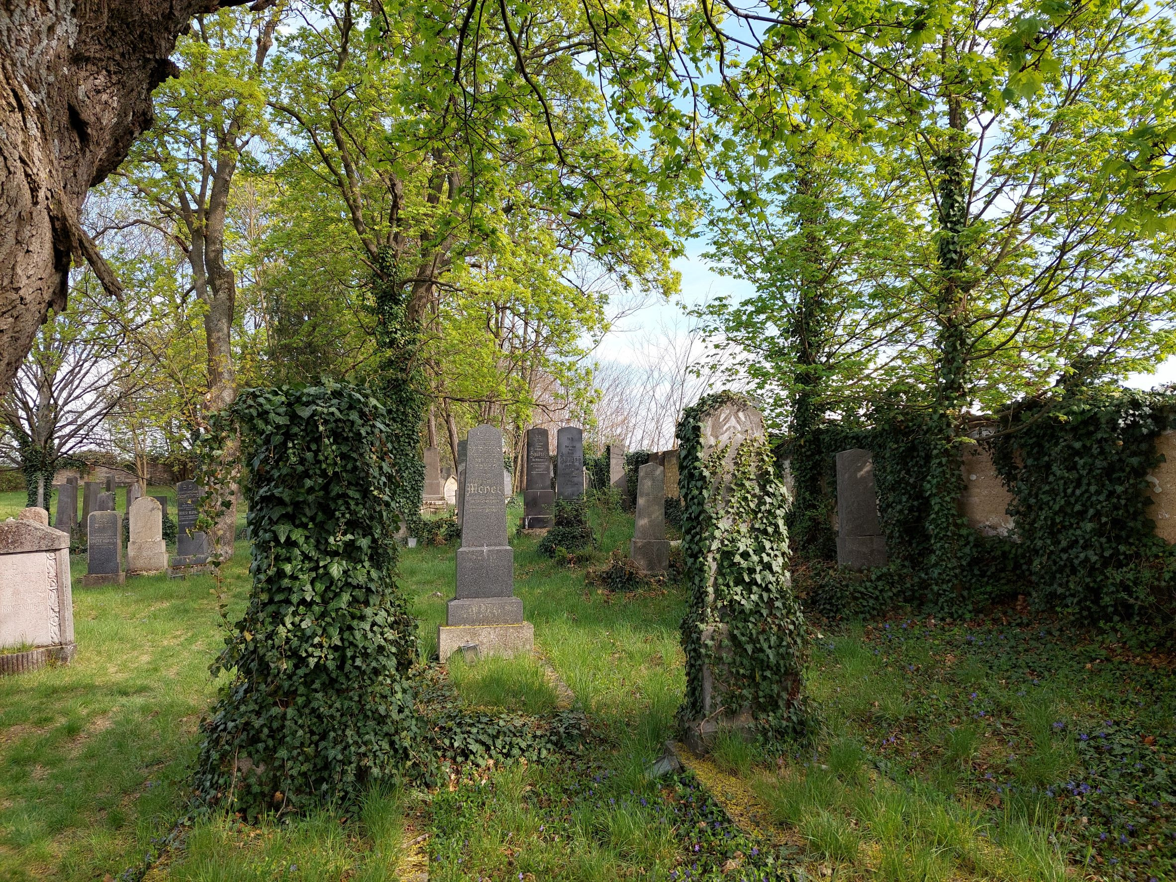 Ansicht jüdischer Friedhof