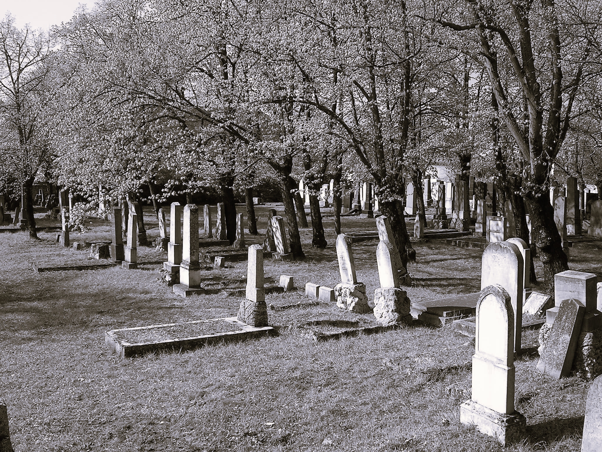 Blick von Norden auf das Friedhofsareal